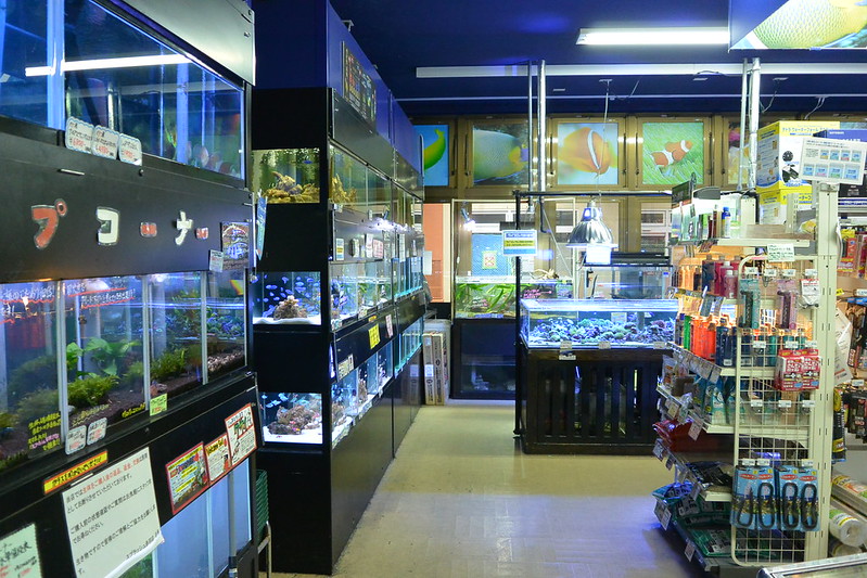 Petstore